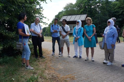 Geologische Einführung 