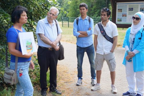 Geologie des Schläferskopfs
